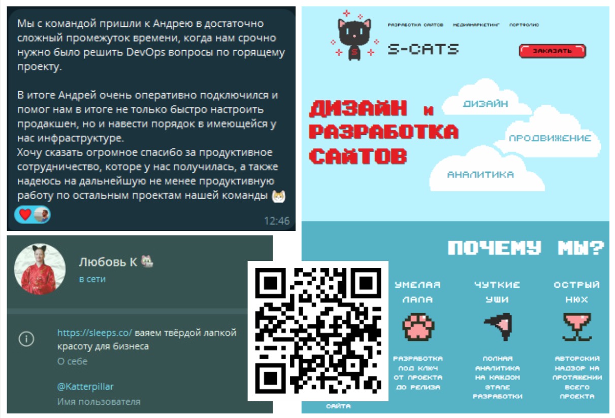 S-Cats проект